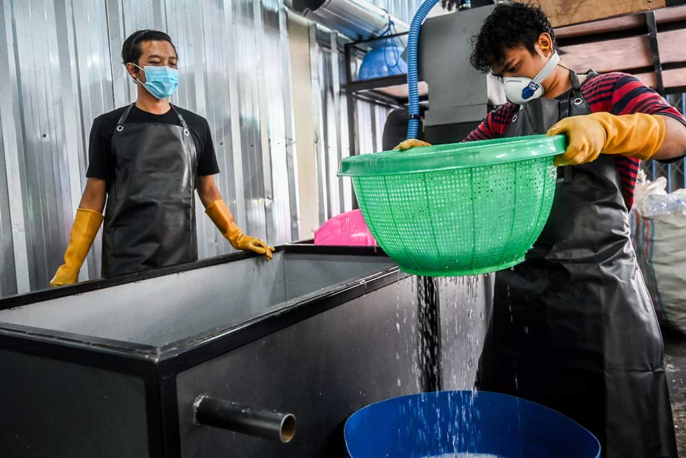 greenly chorus 3.jpg